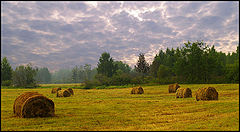 photo "***"