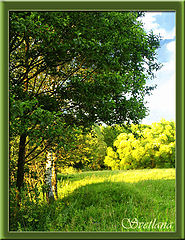 photo "***"