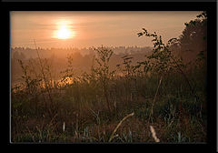 photo "tumannoe utro"