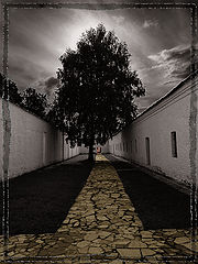 photo "Casemate"
