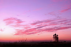 photo "Rising"