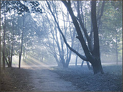 фото "Evening lights"