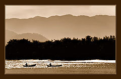 photo "Speedway"