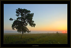 photo "East Illumination"