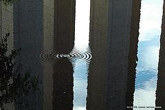 фото "городской мотылек"
