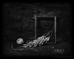 photo "Omen"