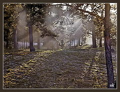 фото "Утро"