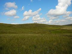 photo "Untitled photo"