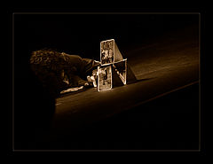 photo "***"