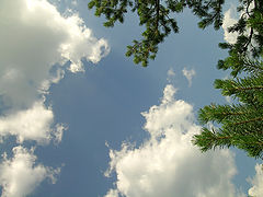 photo "Untitled photo"
