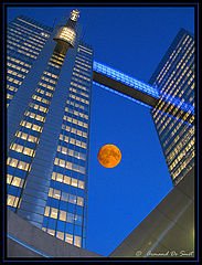 photo "Moonlight"