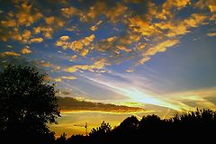 photo "Paints of a decline"