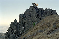 photo "Climb"