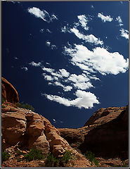 photo "* * * * *"