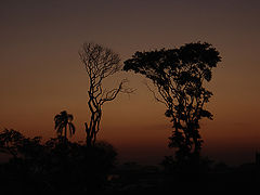 photo "Songs of the Beloved #6"