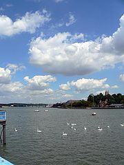 фото "Swans on the river"