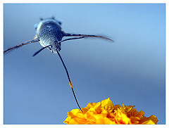 фото ". . . r e l o a d . . ."