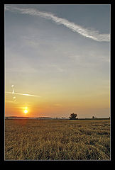 фото "*"