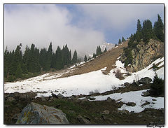 photo "Almaty (2005) - Alatau #3"