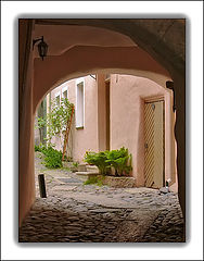 photo "Pink gate"