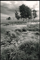 фото "Без названия"