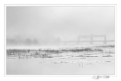 фото "Утро"