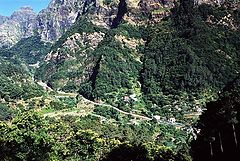 photo "Mountain road"
