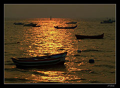 photo "The golden rest"