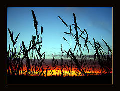 фото "untitled"