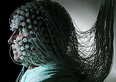 фото "eeg"