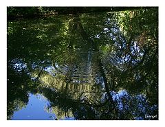 фото "Another watergame !"