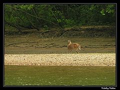 photo "Untitled photo"