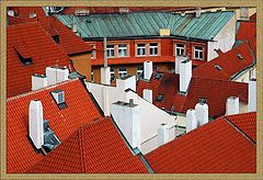 photo "The Prague roofs"