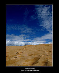 фото "my empty thoughts (Yury Tyapin)"