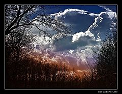 photo "Fifth Season"