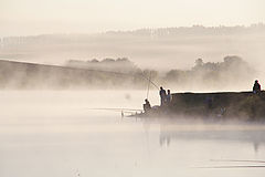 photo "Morning in the lake"