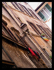 photo "Roma. Peace"