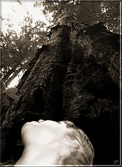 photo "Consecration"