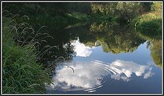 photo "The small river"