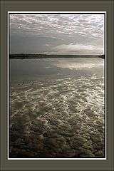photo "Reflection"