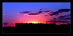 фото "..."