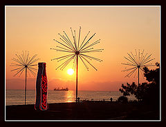photo "соса-соlа"
