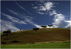 фото "Evening"