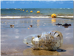 фото "The summer is over"