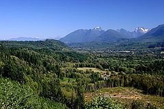 photo "Clear Cut"