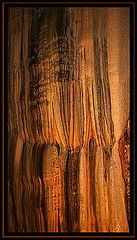 photo "*****"