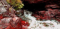 фото "Oak Mountain XXIII"