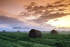 фото "Morning"