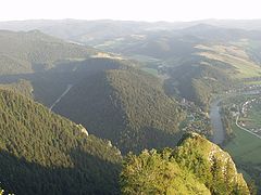 photo "ravine of Dunajec river"