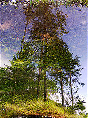 photo "In the world of dreams..."